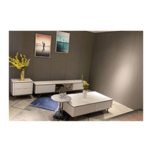 9019 TV Unit